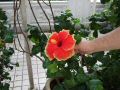 DSCF0097.JPG